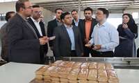 بازدید معاون صنایع عمومی وزارت صمت از واحدهای تولیدی مستقر در شهرک صنعتی بجنورد، اسفراین و شیروان