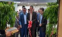 مرکز نوآوری کشت بافت خوشه گل و گیاه آمل و محمودآباد افتتاح شد