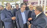 حضور معاون وزیر صمت و مدیرعامل ایزیپو در نمایشگاه تخصصی صنعت کفش ایران